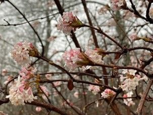 Senior:innen-Singen